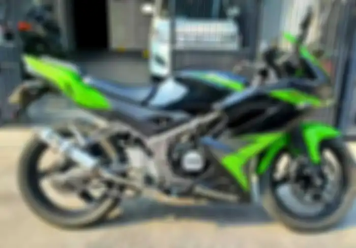 Ilustrasi Kawasaki Ninja 150 RR