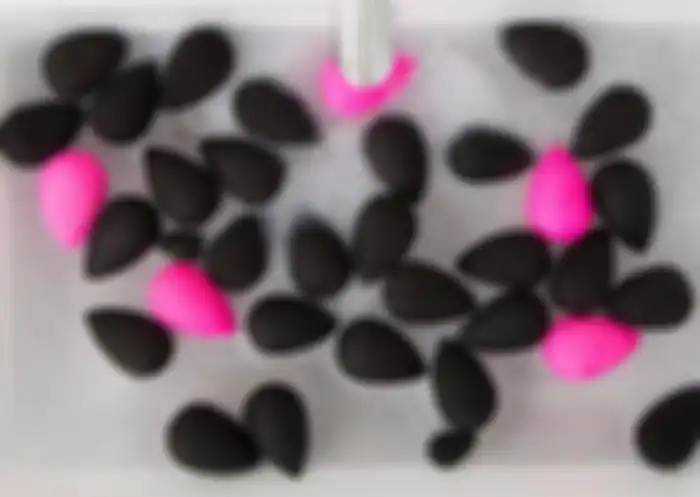 membersihkan beauty blender