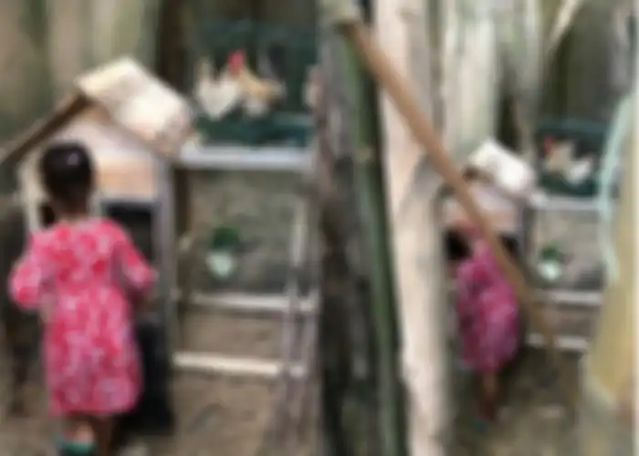 Rumah Happy Salma ada kandang ayam