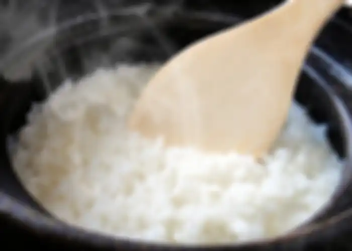 Nasi rice cooker