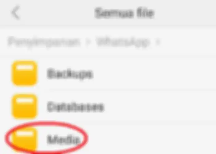 Klik folder Media
