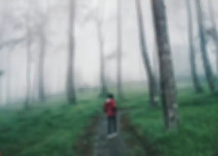 Taman Hutan Raya Ngargoyoso
