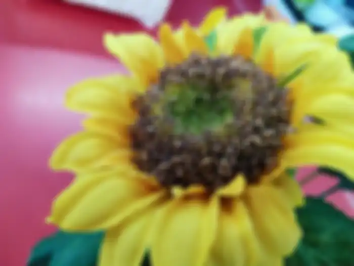 Vivo V11 Pro - hasil foto makro indoor