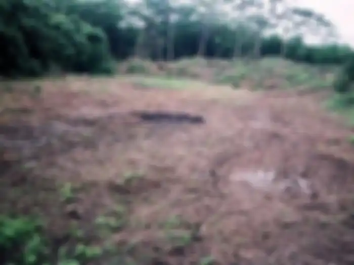 tidak ada yang tahu lokasi pasti Bukit Nirbaya, tapi kabarnya itu hanya berupa lahan kosong