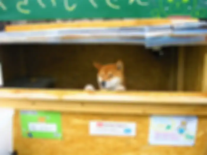 Anjing penjual ubi bakar