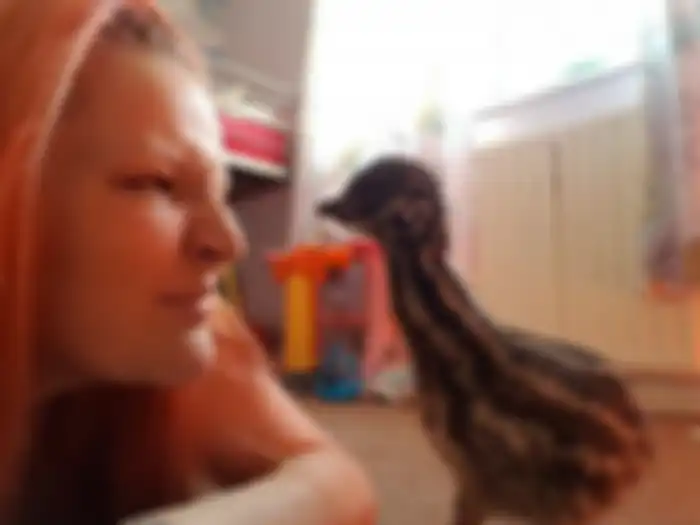 Kevin, burung Emu mulai akrab dengan Charlotte Harrison