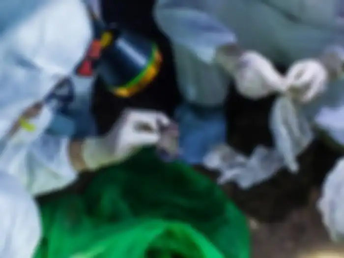 Jauh sebelum wabah menyerang mereka telah menemukan dua jenis virus berbeda.