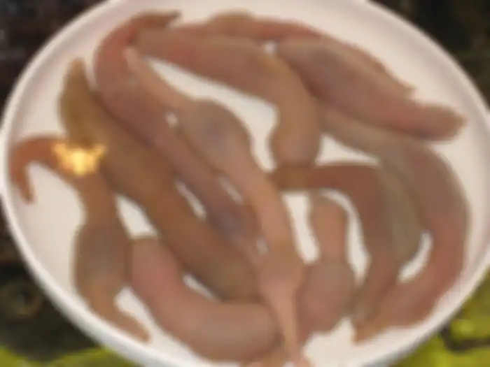 Ada ribuan objek yang tampak seperti penis