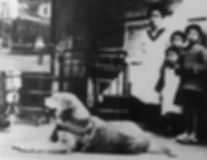Potret kesetiaan Hachiko menunggu pemiliknya yang telah meninggal pulang di Stasiun Shibuya.