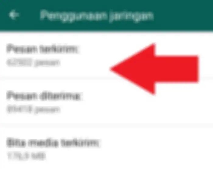 Tampilan pesan terkirim