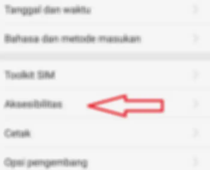 Aktifkan opsi Aksesibilitas pada menu Setting