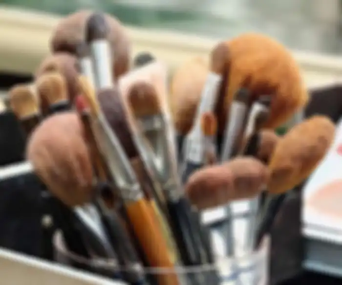 makeup brush kotor