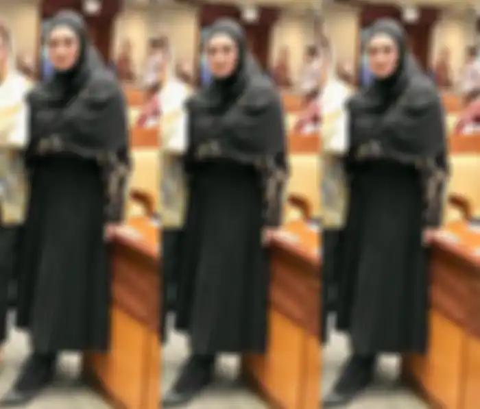 Penampilan stylish Mulan Jameela istri Ahmad Dhani saat rapat anggota DPR kenakan paduan rok plisket kekinian