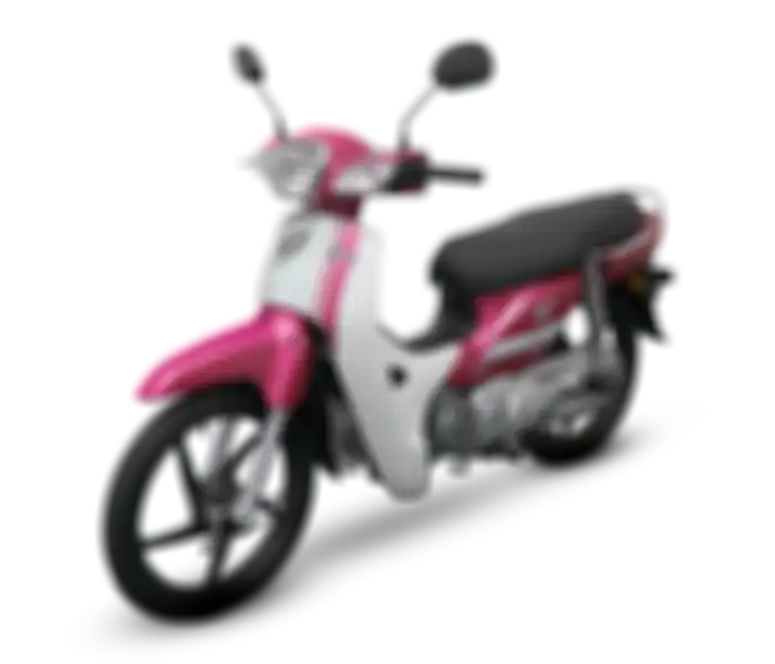 Warna Honda EX5 Magenta-putih