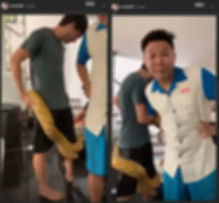 Aneh Banget! Lagi Hamil Besar Aura Kasih Manggang Ular, ‘yang Pasti Enggak Makan Teman’