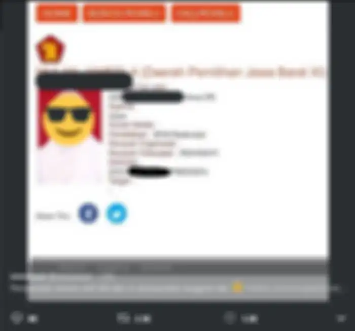 Potret profil Mulan Jameela saat mencalonkan diri menjadi DPR RI
