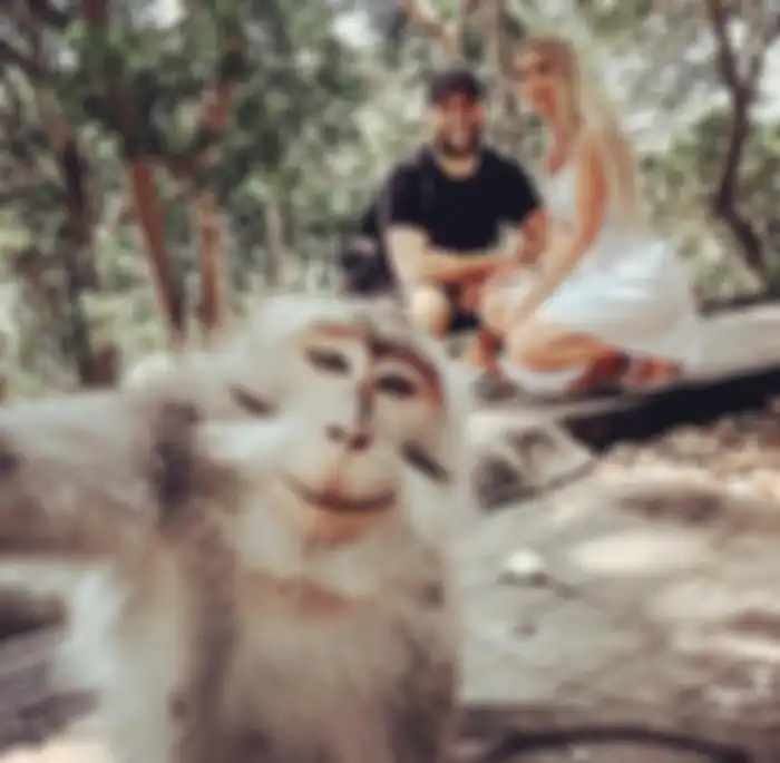 Selfie dengan monyet