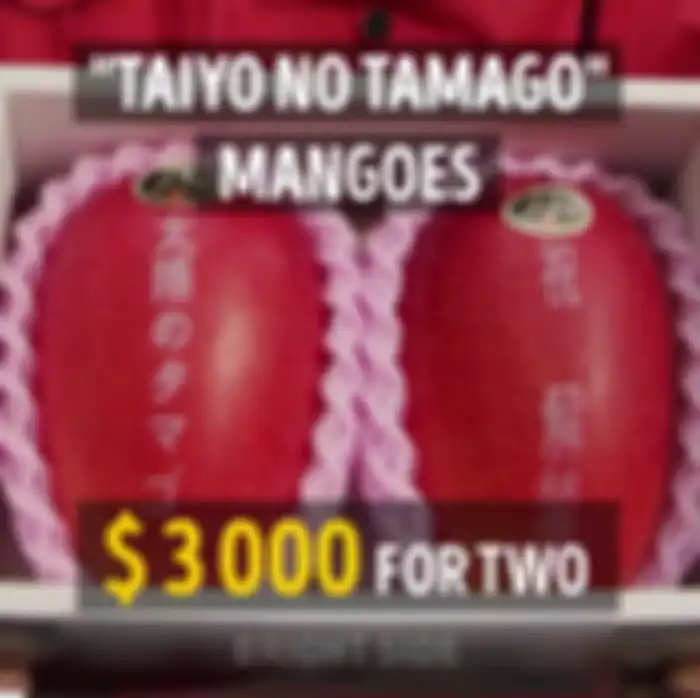 Mangga Taiyo No Tamago