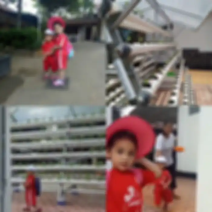 Halaman rumah Arumi Bachsin