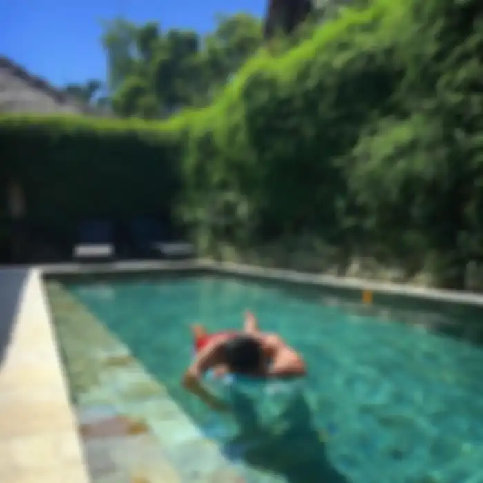 Rumah Nana Mirdad dan Andrew White di Bali