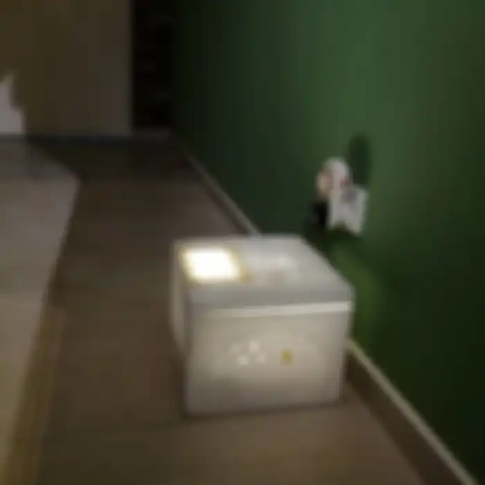 Lim membuat inkubator sendiri di rumah