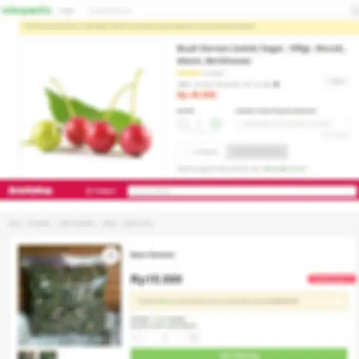 Harga jual buah dan daun kersen