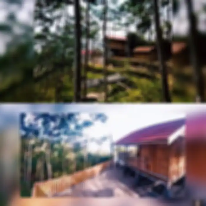 Penampakan rumah Dodit Mulyanto yang dibangun di tengah hutan
