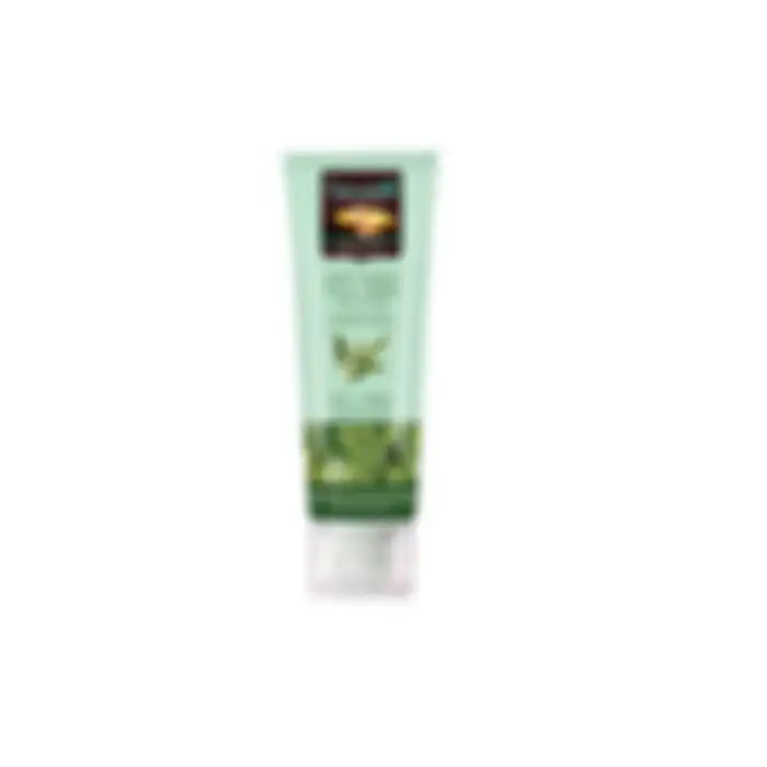 Herborist Facial Foam Tea Tree 