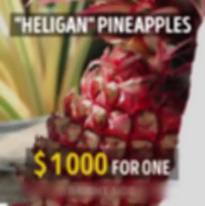 Nanas Heligan