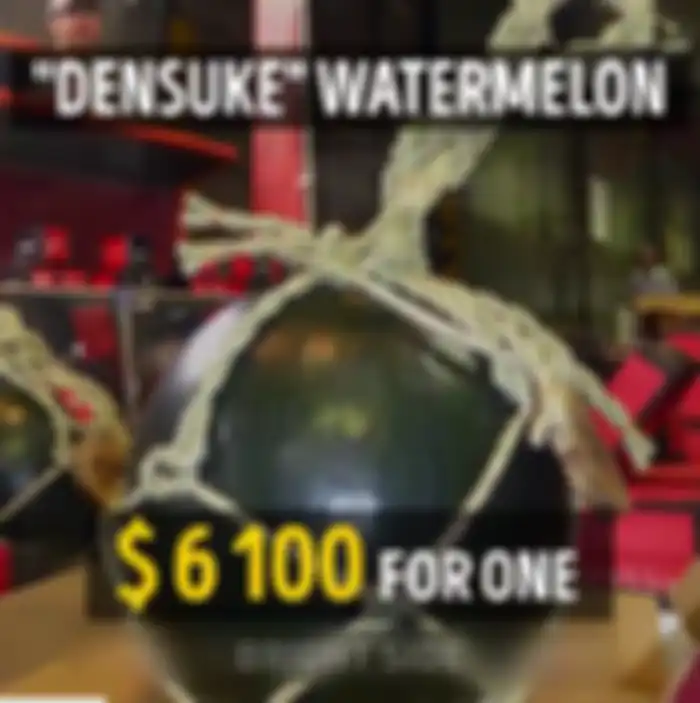 Semangka Densuke