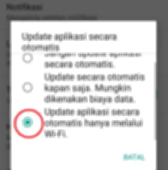 Aktifkan opsi hanya melalui Wi-Fi