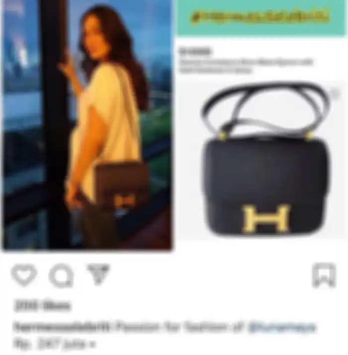 Tas Hermes Luna Maya