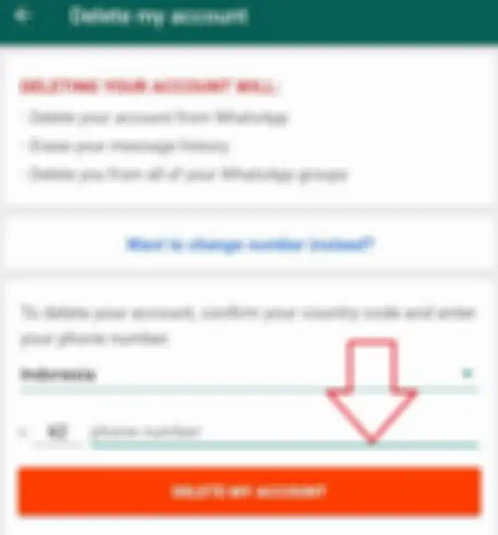 Masukkan nomor dan pilih opsi Delete my Account
