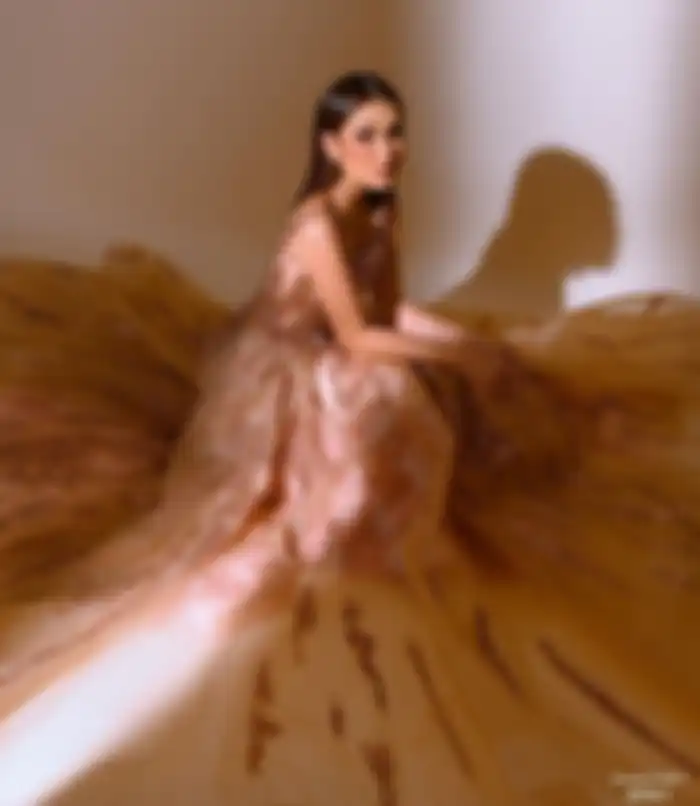 Penampilan Ayu Ting Ting dengan gaun super mewah
