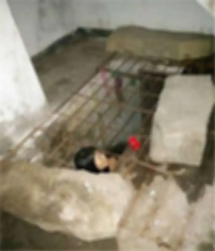 Momen Memilukan dan Mengerikan Ketika Seorang Wanita Dikurung di Bawah Tanah oleh Keluarganya Sendiri