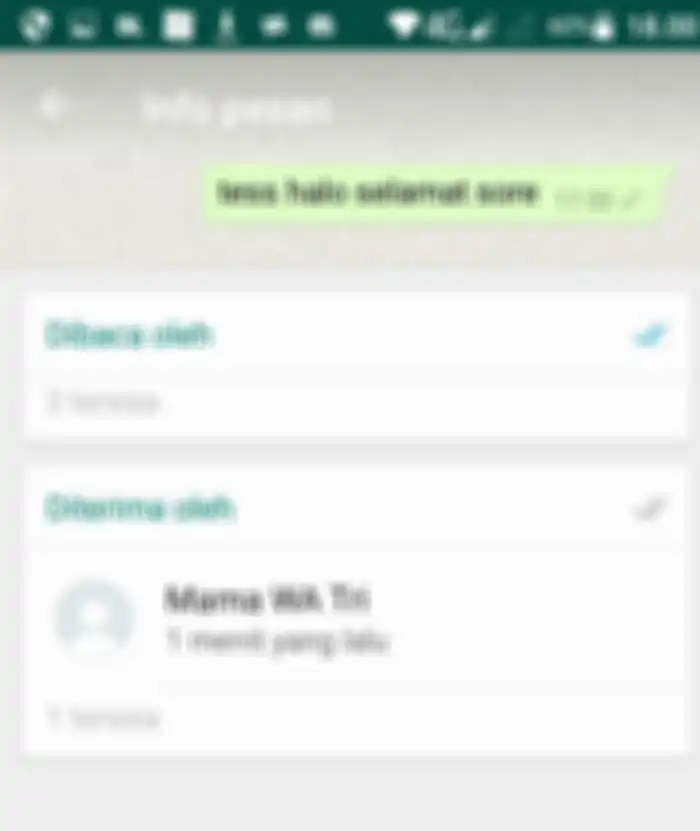 Daftar Siaran WhatsApp