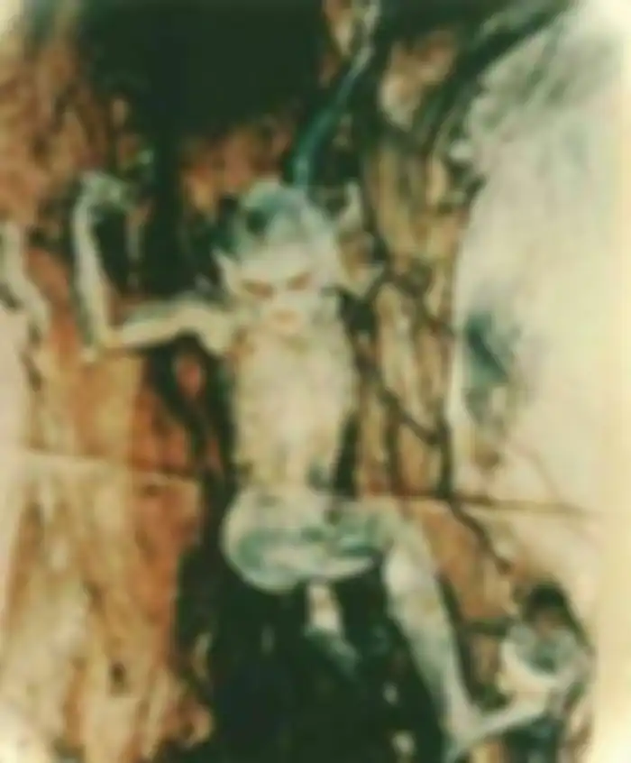 Foto Misterius