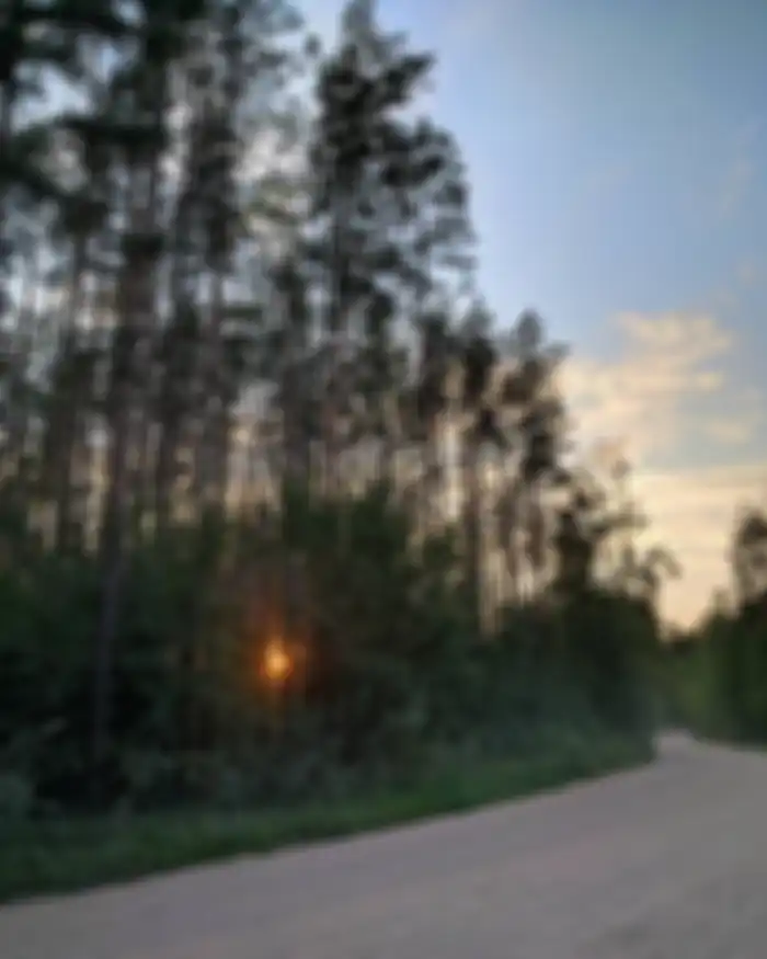 hasil foto Xiaomi Mi A2