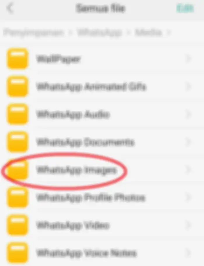 Klik folder WhatsApp Images