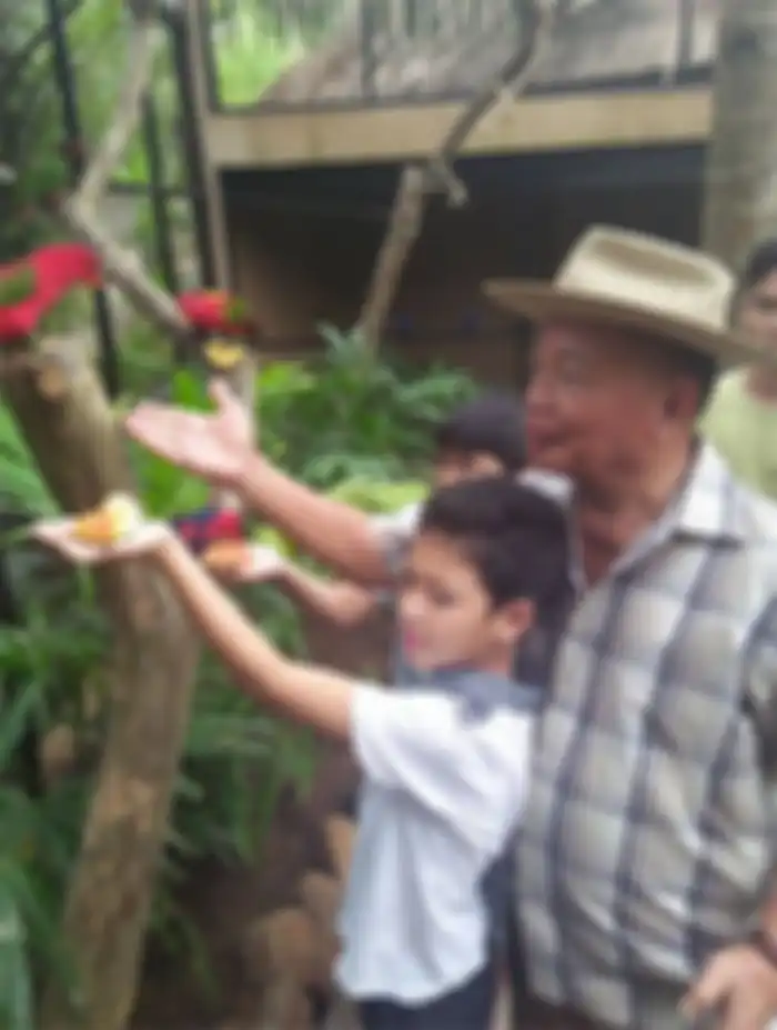 Keanu Massaid ke kebun binatang bareng kakek