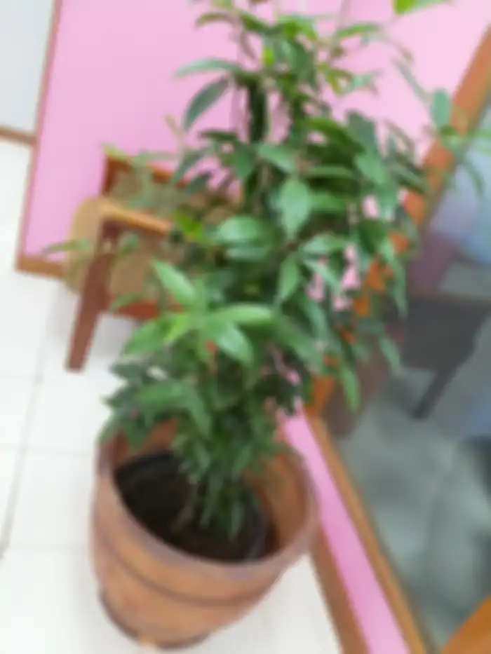 foto indoor tanpa flash - Nokia 8