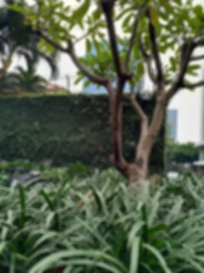foto outdoor cuaca mendung - Nokia 8