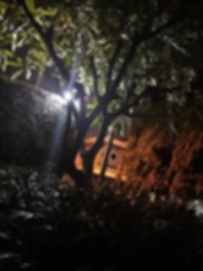 Vivo V11 Pro - hasil foto malam hari
