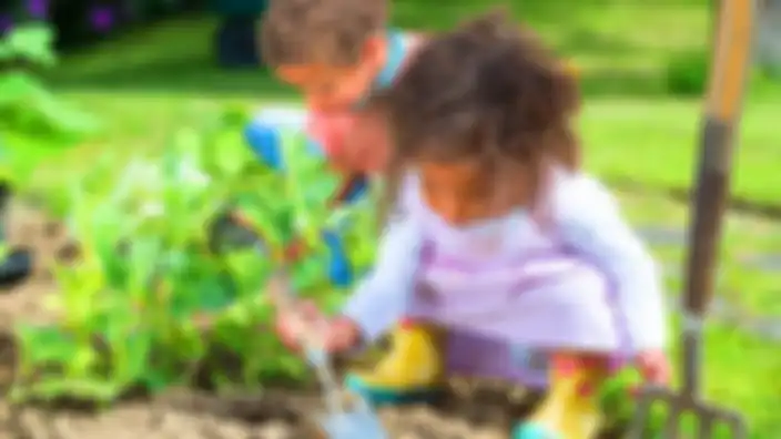 Apa Alasan Berkebun Jadi Syarat agar Bisa Terima Bantuan? Ini Kata Gubernur Gorontalo