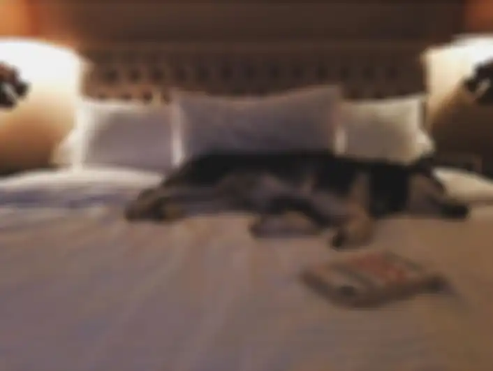 Kamar Tidur Sophia Latjuba