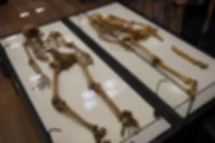Dua bersaudara prajurit Viking yang bertemu 1.000 tahun kemudian di Museum Nasional Denmark.