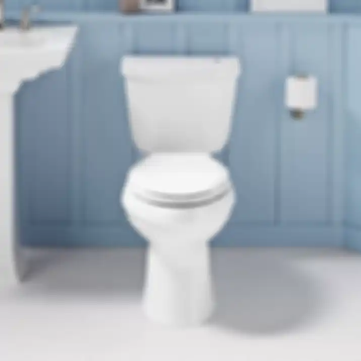 toilet | dok. signaturehardware.com