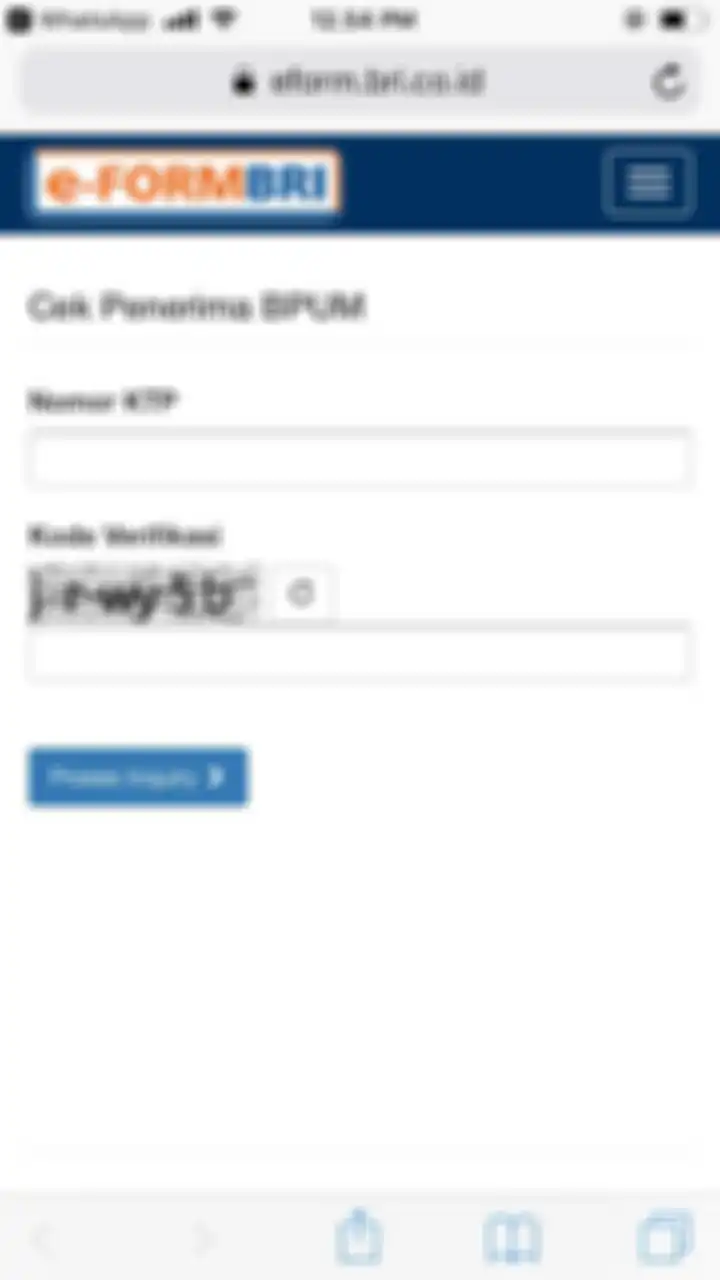 Cek bantuan UMKM lewat hp di eform.bri.co.id/bpum