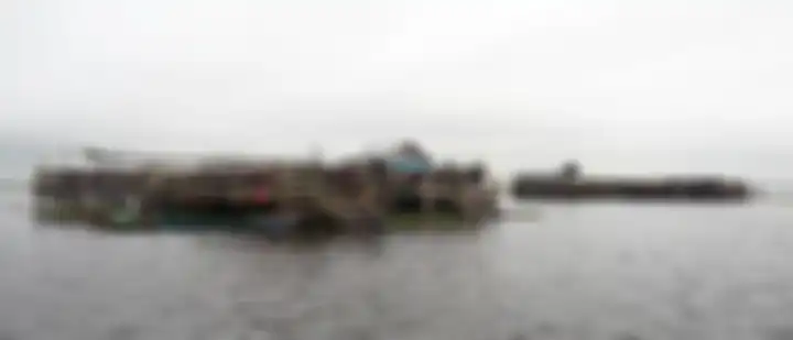  Di Danau Panggang, Kabupaten Hulu Sungai Utara, Kalimantan Selatan, terdapat belasan kadang kerbau. Tiap kandangnya berisi sekitar 100 kerbau Kompas/Arbain Rambey (ARB)