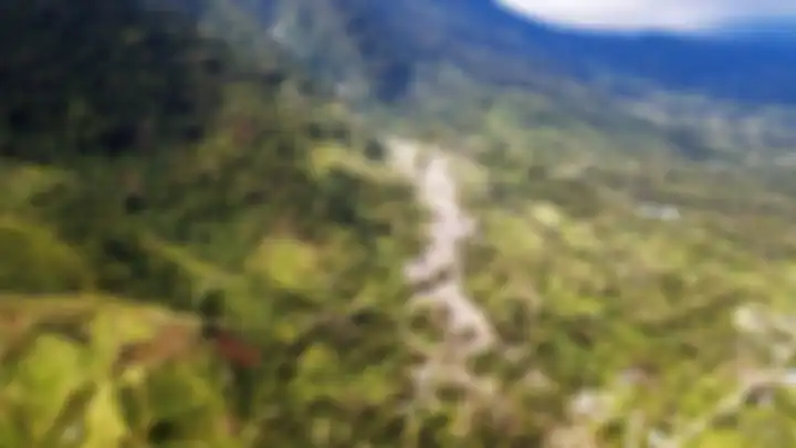 Kondisi lereng Gunung Cycloop terpantau dari Jalan Sosial, Sentani, Papua, Kamis (21/3/2019). Kondisi kaki gunung banyak beralif fungsi dari cagar alam menjadi kebun dan perumahan. Kawasan hutan seluas 31.479,9 hektar itu merupakan pengendali pasokan air bagi warga Jayapura, Papua.  KOMPAS/HENDRA A 